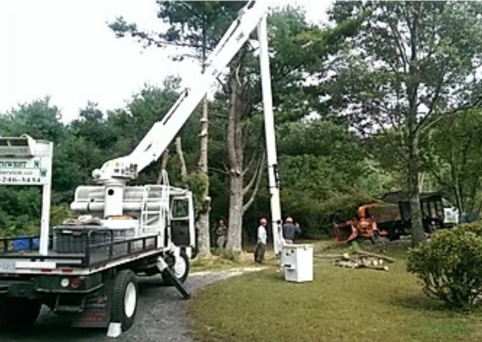 tree removal, tree removal services, tree service, tree trimming service, tree cutting service, tree trimming, tree cutting, firewood, firewood for sale, cord of wood